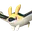 エレカイト