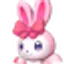 ヒメウサ