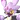 モモンチュラ
