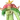 アロアリュー