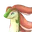 ラブラドン