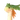 トコナッツ