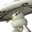 ソワレーヌ