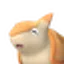 コロマジロ