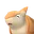 コロマジロ