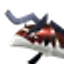 ヒノタチウオ