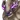 ボルドラゴ