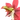 フラペック