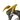 ボルゼクス