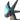 ゼノドラン