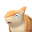 コロマジロ