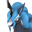ナイトロット